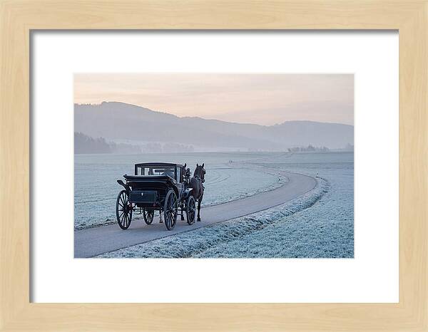 Horse Drawn Carriage At Dawn