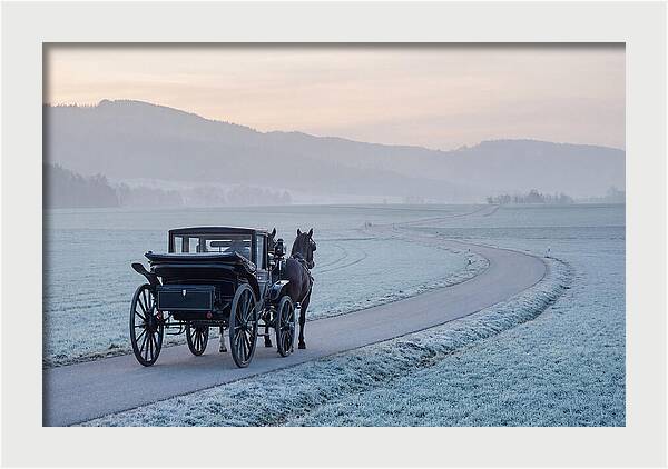 Horse Drawn Carriage At Dawn