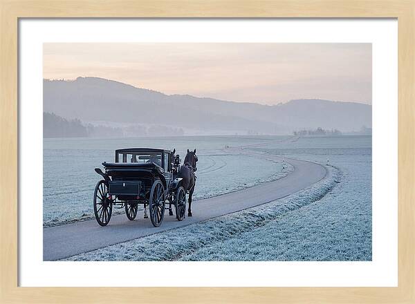 Horse Drawn Carriage At Dawn