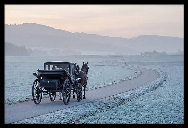 Horse Drawn Carriage At Dawn