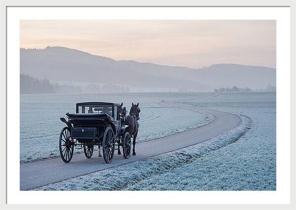 Horse Drawn Carriage At Dawn