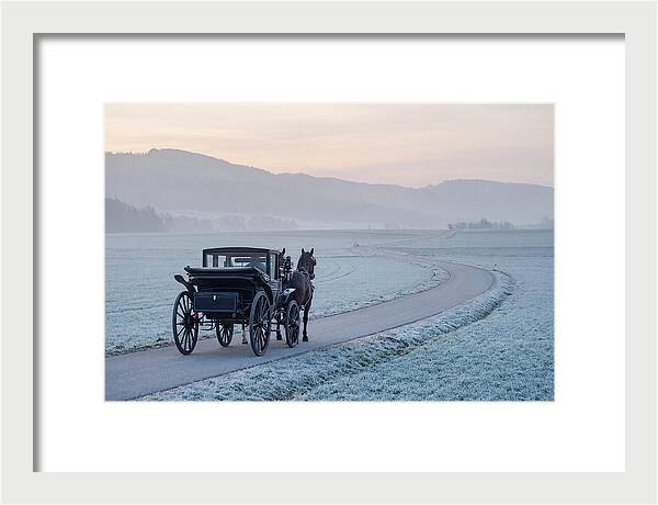 Horse Drawn Carriage At Dawn
