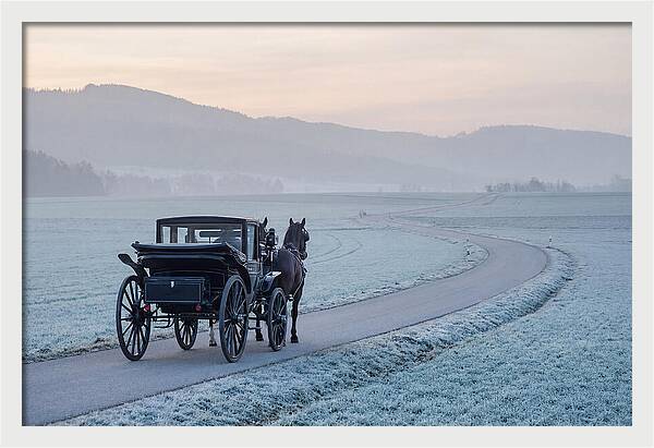 Horse Drawn Carriage At Dawn