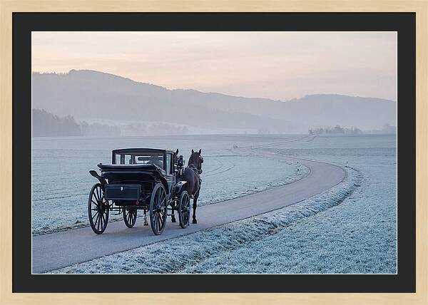 Horse Drawn Carriage At Dawn