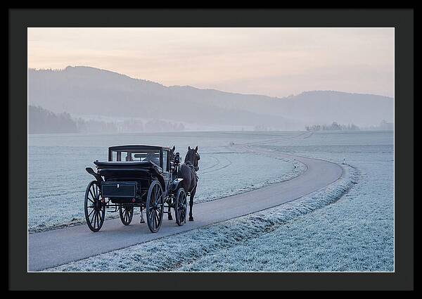 Horse Drawn Carriage At Dawn