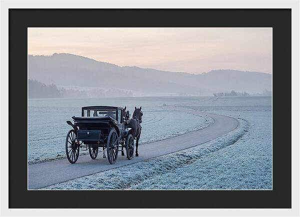 Horse Drawn Carriage At Dawn