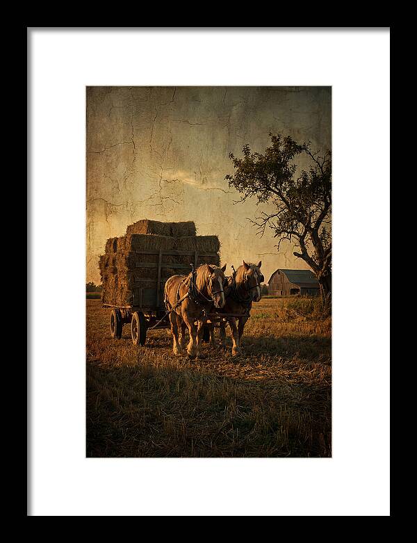 Horse Drawn Hay Wagon At Dusk