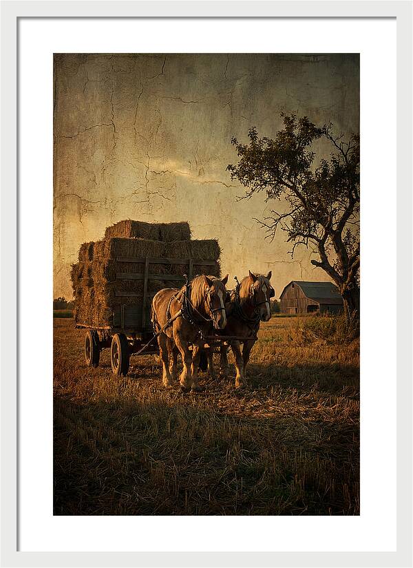 Horse Drawn Hay Wagon At Dusk
