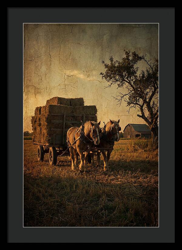 Horse Drawn Hay Wagon At Dusk