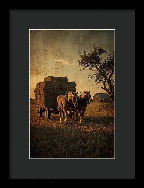 Horse Drawn Hay Wagon At Dusk