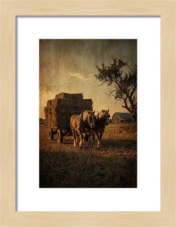 Horse Drawn Hay Wagon At Dusk