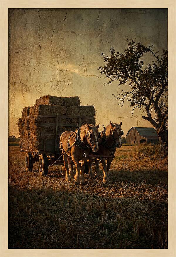 Horse Drawn Hay Wagon At Dusk