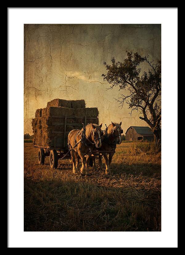 Horse Drawn Hay Wagon At Dusk