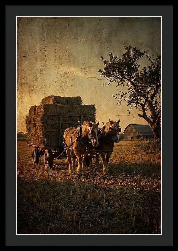Horse Drawn Hay Wagon At Dusk
