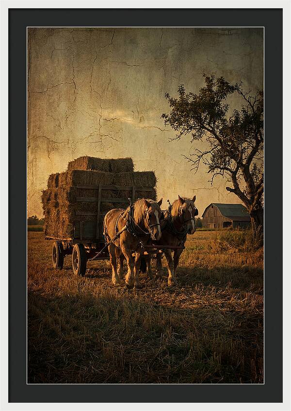 Horse Drawn Hay Wagon At Dusk