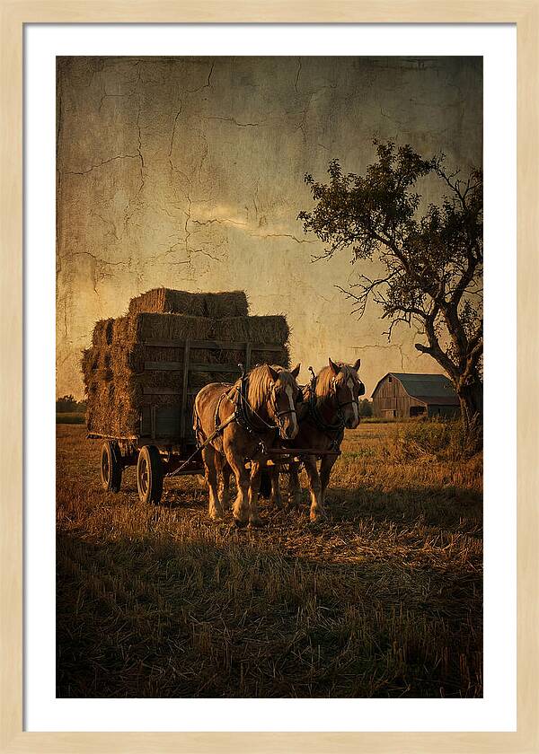 Horse Drawn Hay Wagon At Dusk