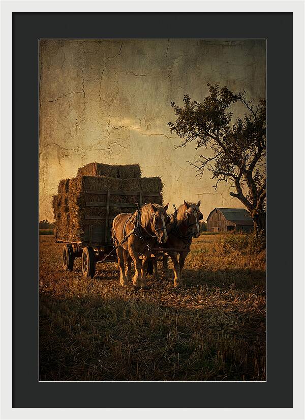 Horse Drawn Hay Wagon At Dusk