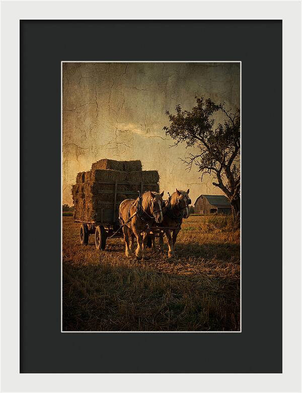 Horse Drawn Hay Wagon At Dusk