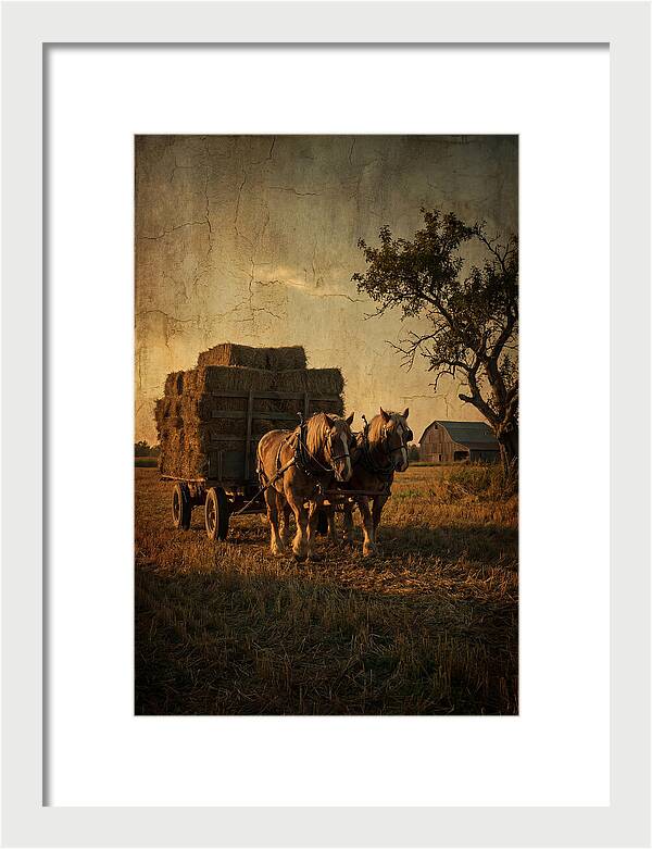 Horse Drawn Hay Wagon At Dusk