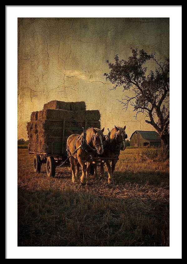 Horse Drawn Hay Wagon At Dusk