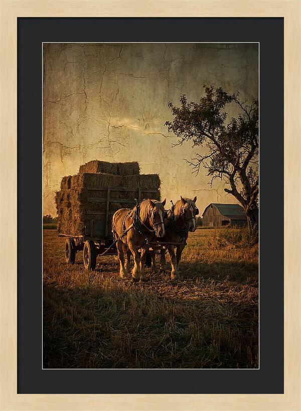 Horse Drawn Hay Wagon At Dusk