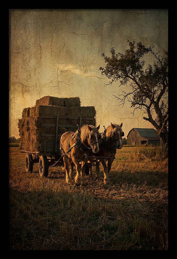 Horse Drawn Hay Wagon At Dusk