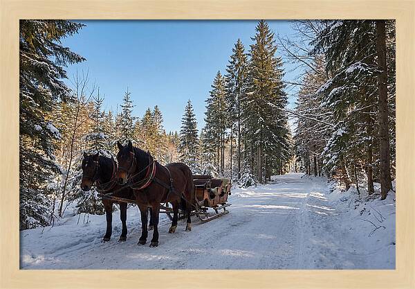 Horse Drawn Sleigh Through Snowy Forest