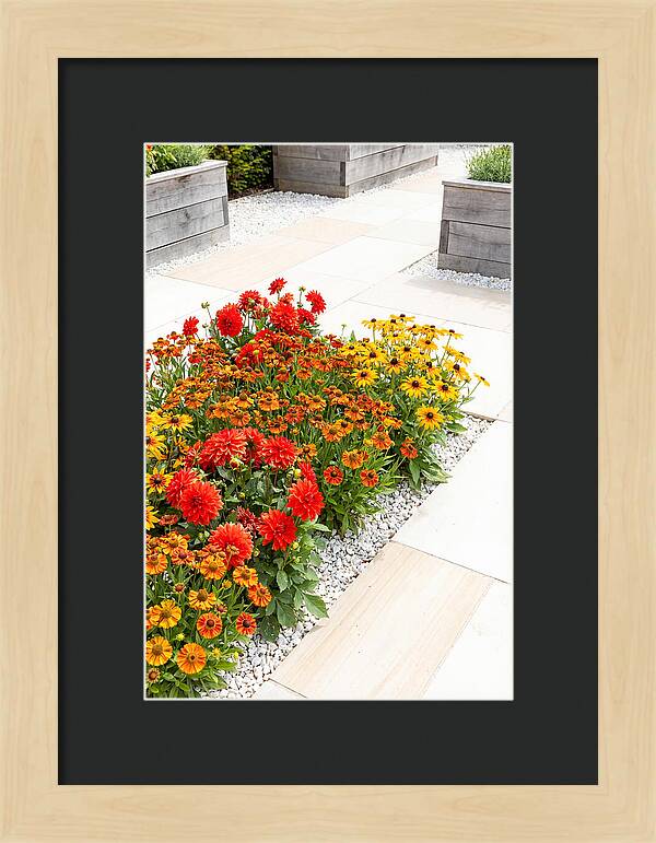 Hot Border Garden Blooms