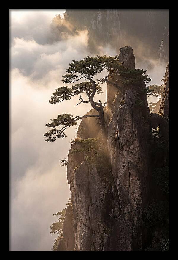 Huangshan Granite Peak At Sunrise