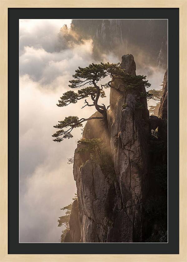 Huangshan Granite Peak At Sunrise