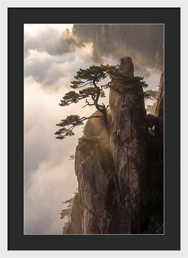 Huangshan Granite Peak At Sunrise