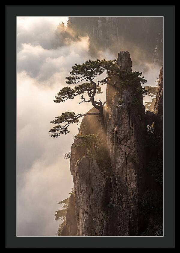 Huangshan Granite Peak At Sunrise