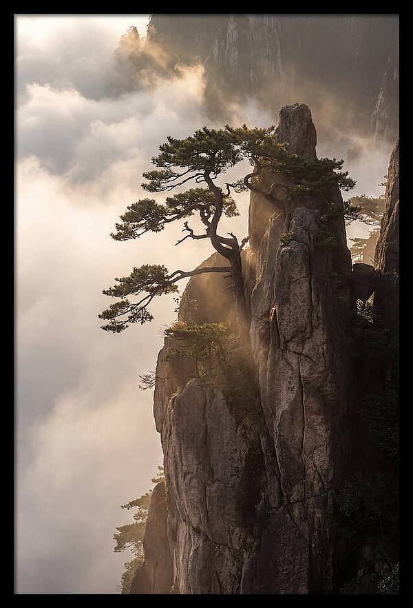 Huangshan Granite Peak At Sunrise