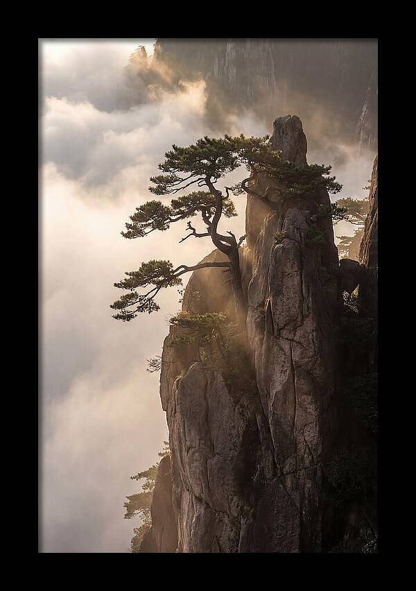Huangshan Granite Peak At Sunrise