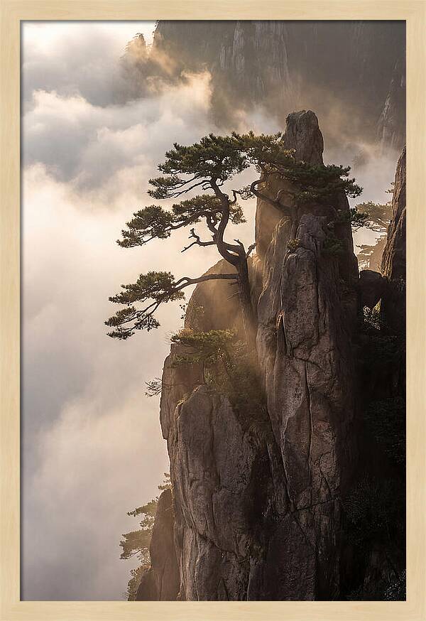 Huangshan Granite Peak At Sunrise