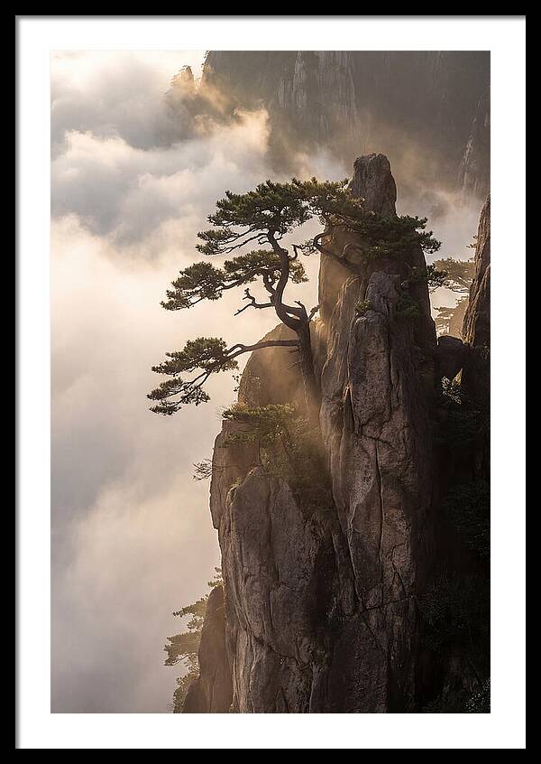 Huangshan Granite Peak At Sunrise