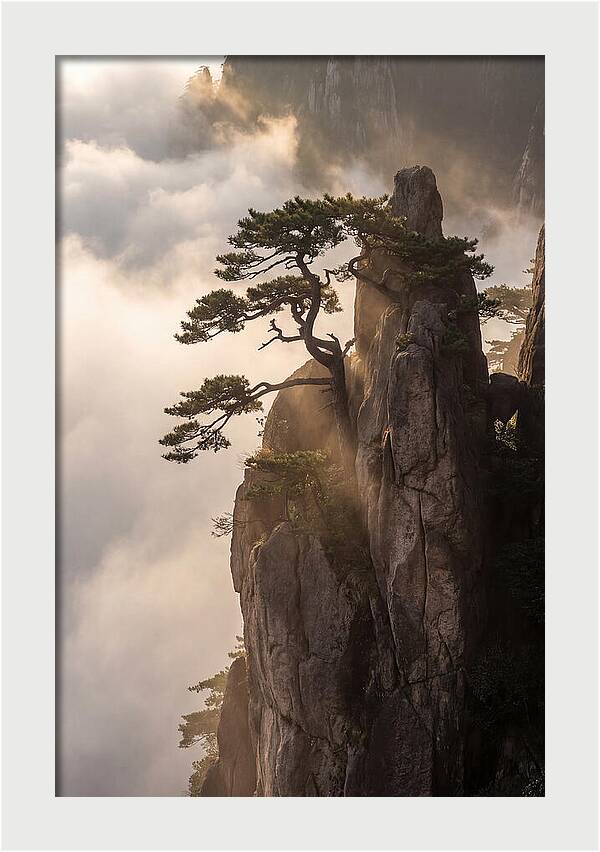 Huangshan Granite Peak At Sunrise