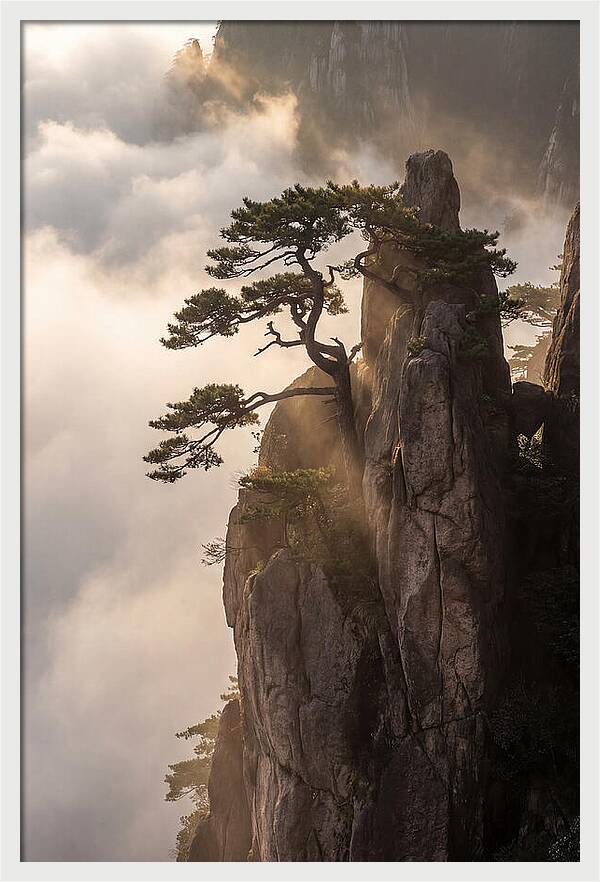 Huangshan Granite Peak At Sunrise