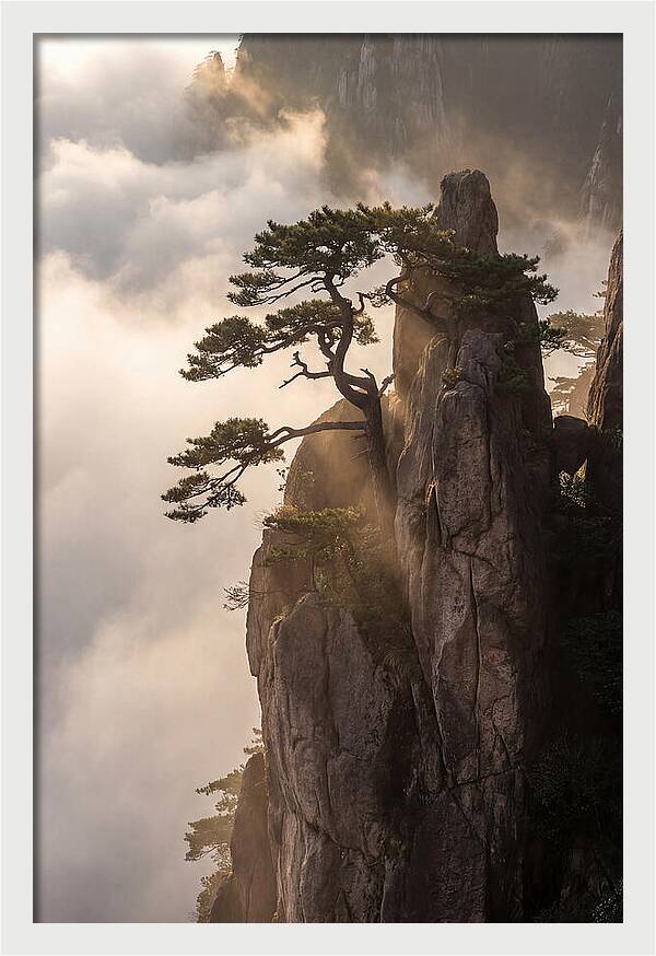 Huangshan Granite Peak At Sunrise