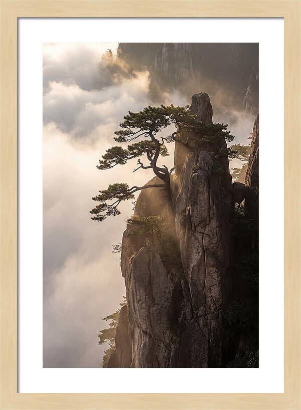 Huangshan Granite Peak At Sunrise