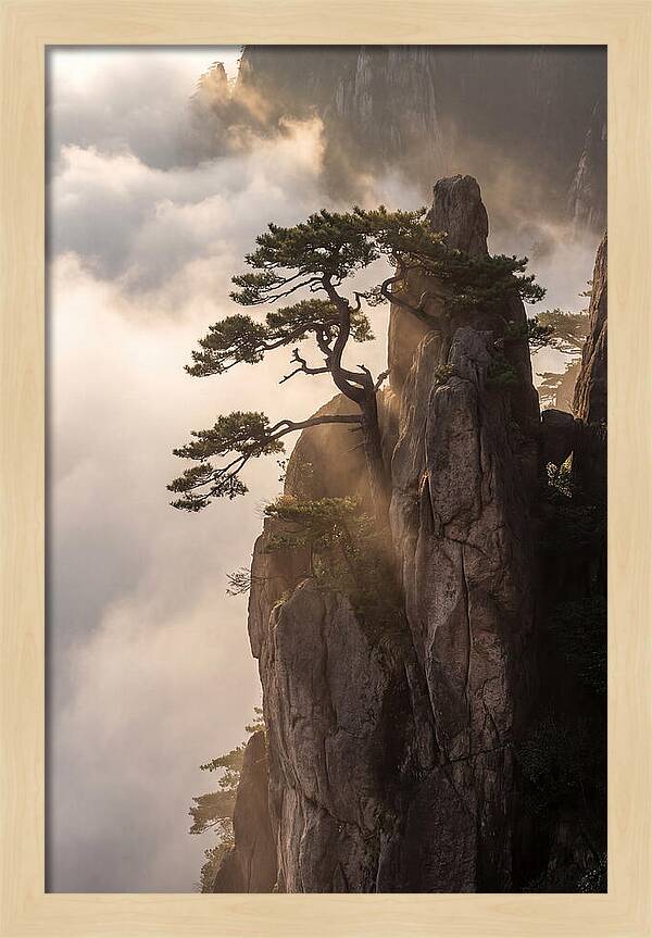 Huangshan Granite Peak At Sunrise
