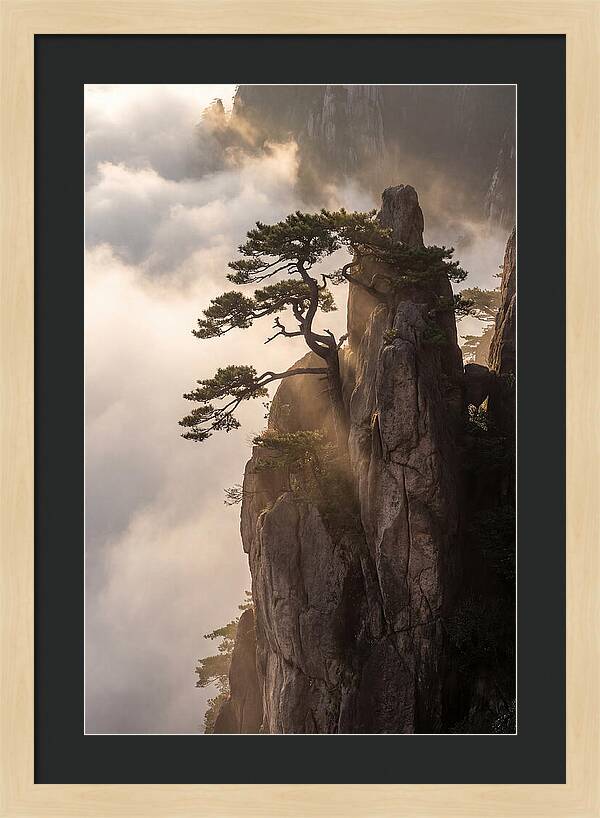 Huangshan Granite Peak At Sunrise