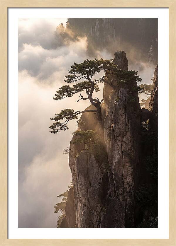 Huangshan Granite Peak At Sunrise