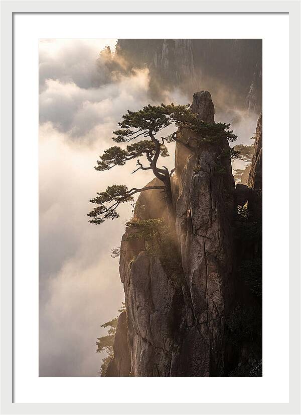 Huangshan Granite Peak At Sunrise
