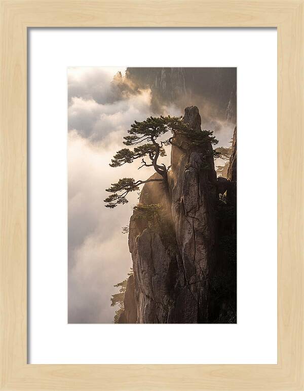 Huangshan Granite Peak At Sunrise