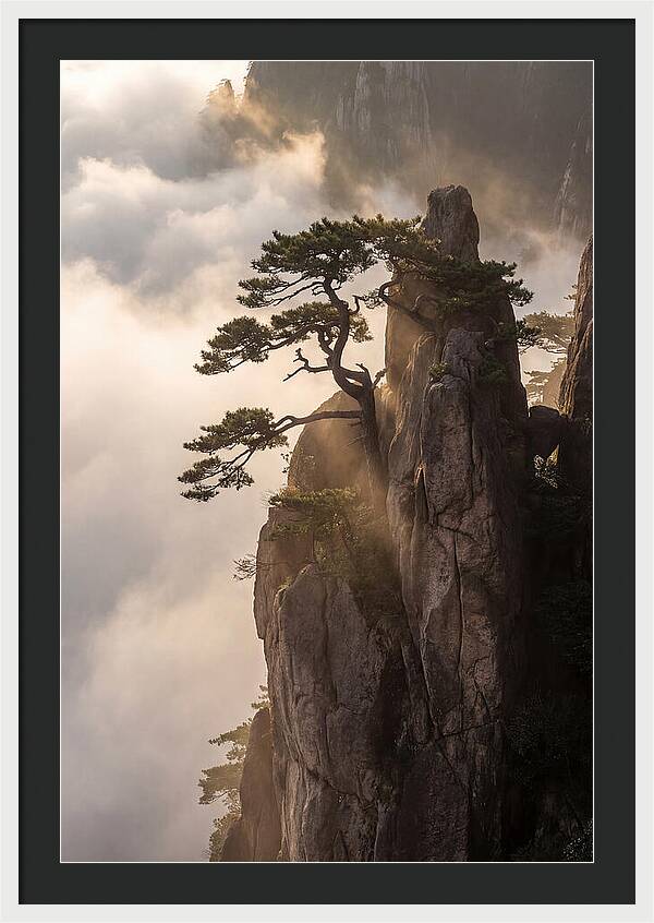 Huangshan Granite Peak At Sunrise