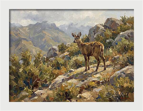 Huemul In Natural Habitat