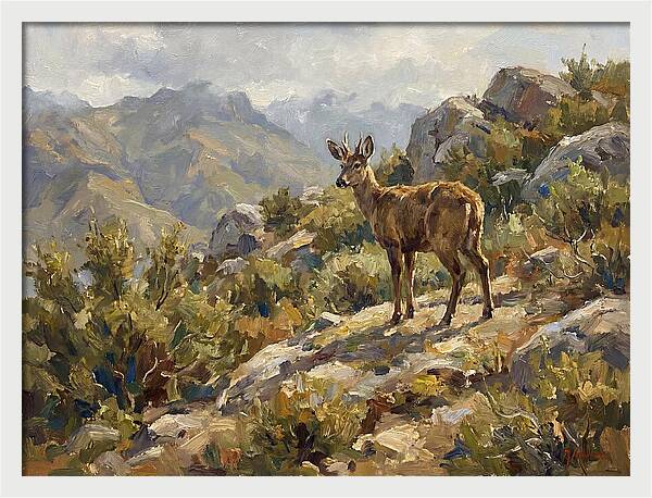 Huemul In Natural Habitat