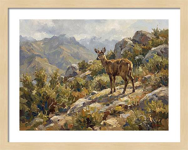 Huemul In Natural Habitat
