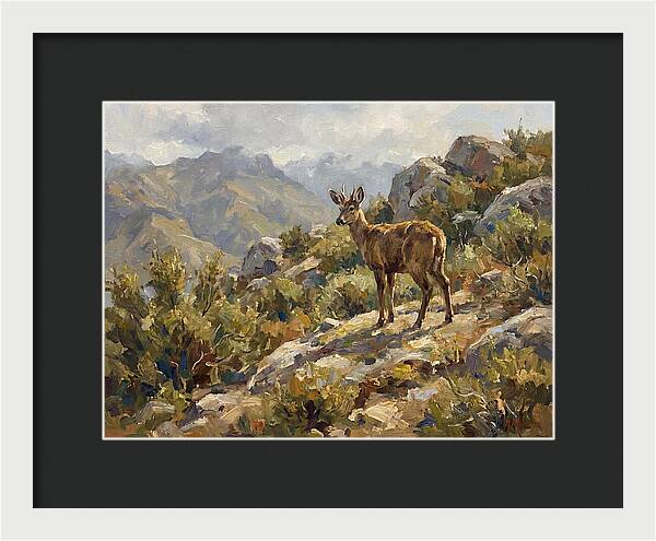 Huemul In Natural Habitat